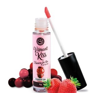 Secret Play Vibrant Kiss Lip Gloss Strawberry Gum 6g
